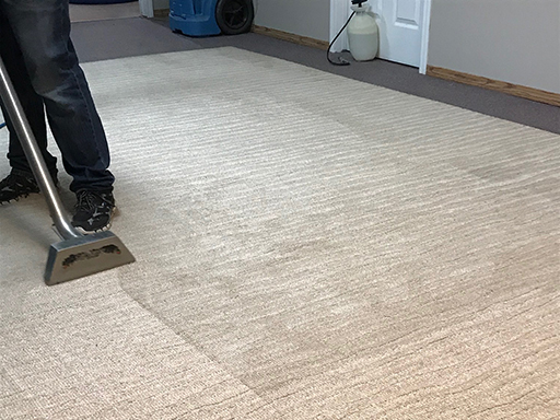 Yorkton Area Rug Cleaner